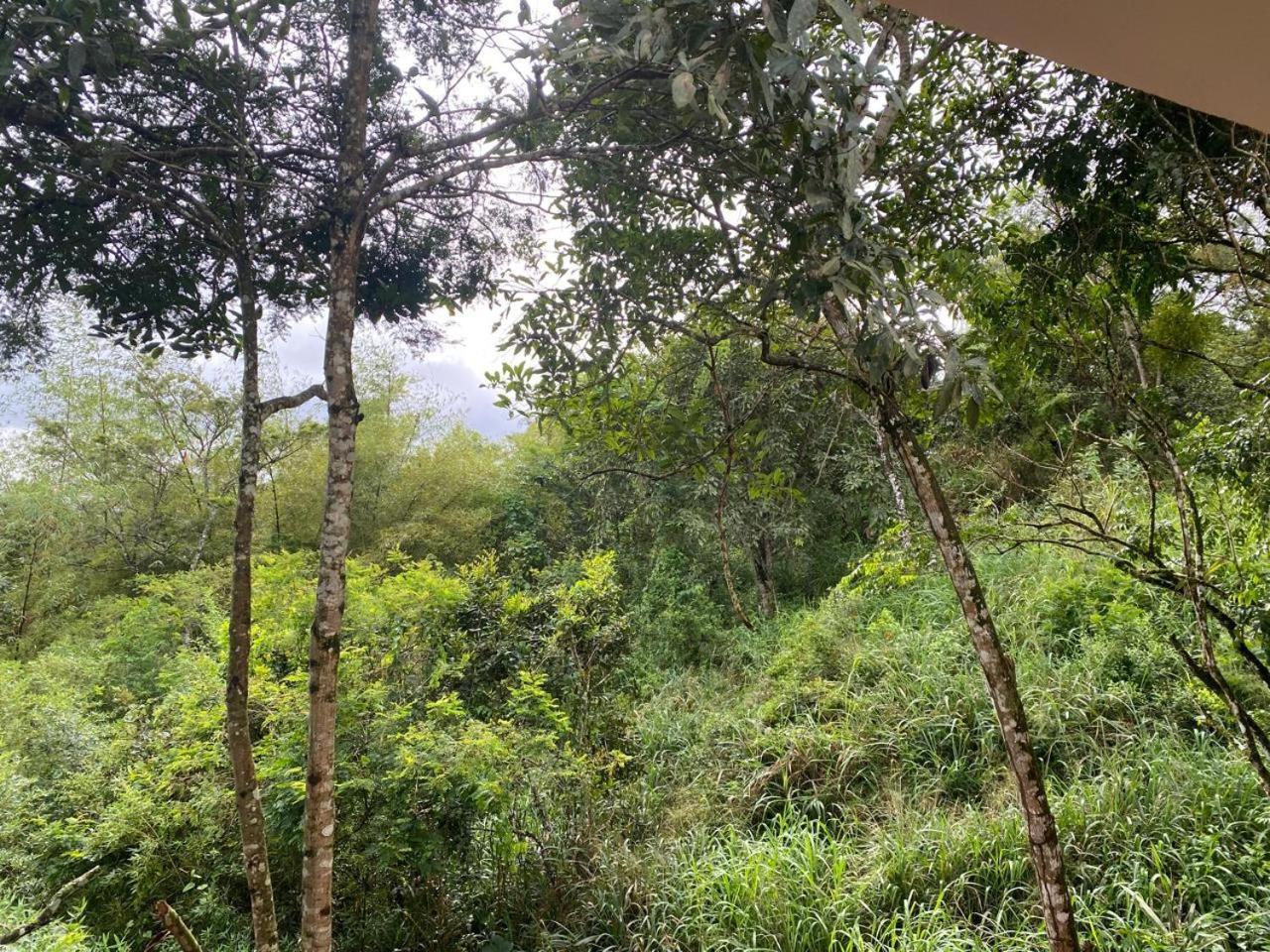 Flat Condominio Topo Da Montanha 507 Chã Grande Eksteriør bilde